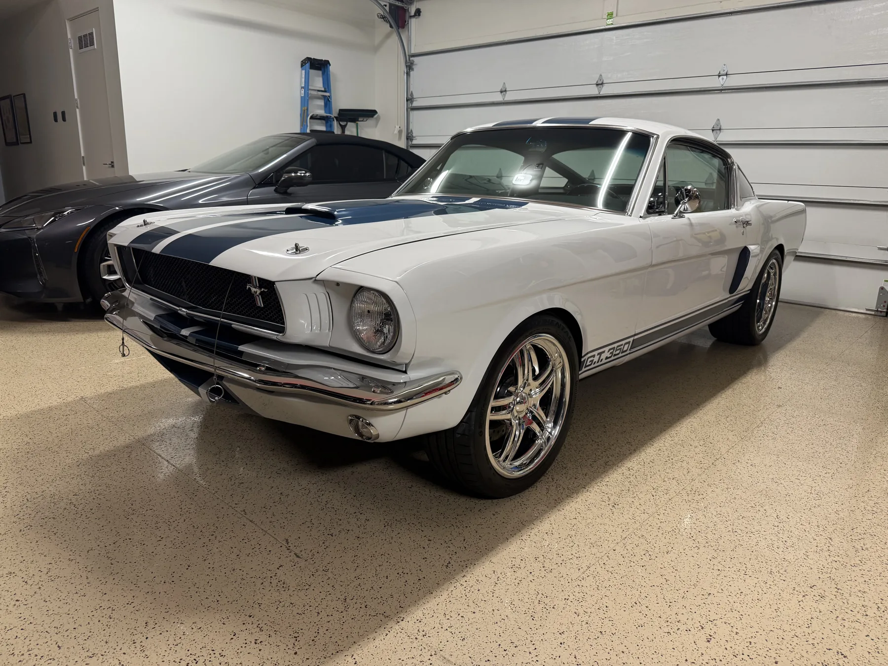 Classic Mustang fastback detailed by Desert Steam Detail in Arizona