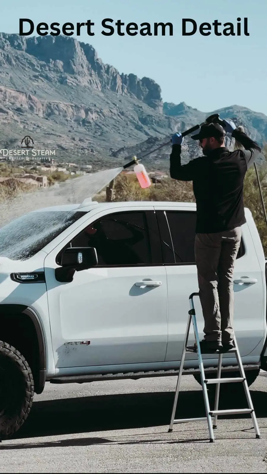 Vehicle steam sanitization in Scottsdale, Arizona